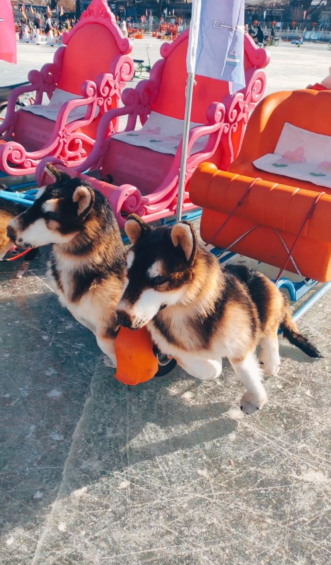 wp-17062573426682095978538381807860